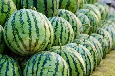 淮阴吃瓜各种热门事件,吃瓜群众热议的十大热门事件盘点